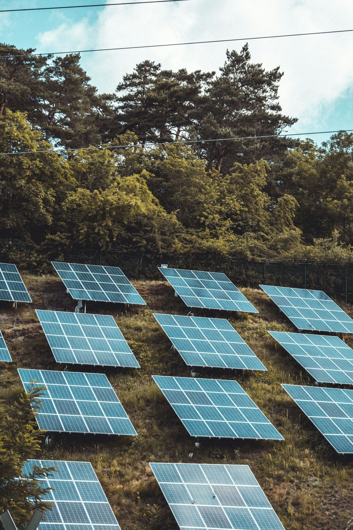 Solar panels in a field turning sunlight into clean power